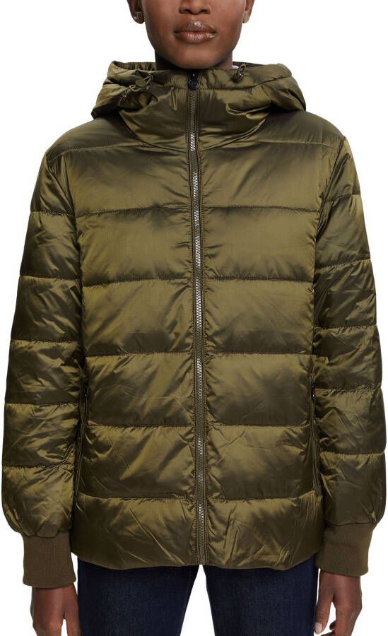 Esprit Collection Gewatteerde jas met verstelbare capuchon