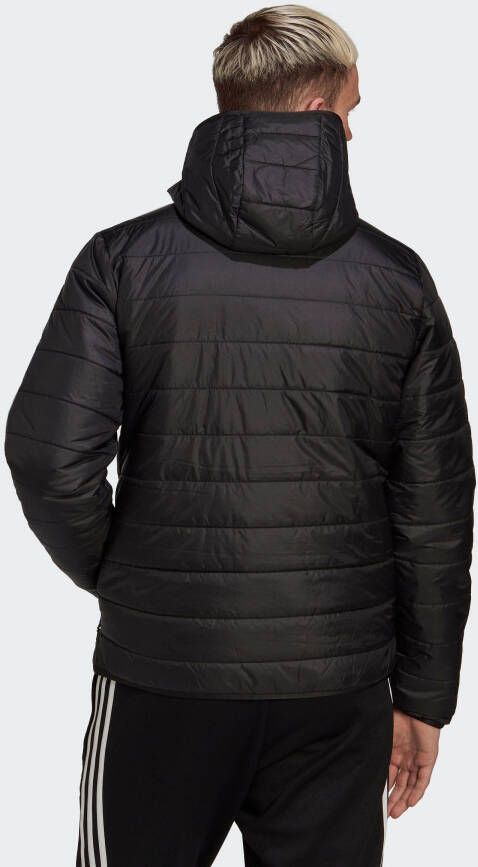 adidas Originals Outdoorjack PADDED HOODED PUFFER
