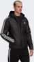 Adidas Originals Puffer-jacke Mit Kapuze Pufferjassen Kleding black maat: L beschikbare maaten:S L - Thumbnail 7