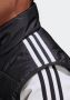 Adidas Originals Puffer-weste Mit Stehkragen Winterjassen Heren black maat: M beschikbare maaten:S M L - Thumbnail 10