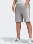 Adidas Originals Adicolor 3-stripes Shorts Sportshorts Kleding medium grey heather maat: XL beschikbare maaten:XL - Thumbnail 15