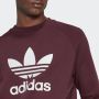 Adidas Originals Sweatshirt ADICOLOR CLASSICS TREFOIL - Thumbnail 4