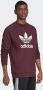 Adidas Originals Sweatshirt ADICOLOR CLASSICS TREFOIL - Thumbnail 7