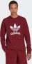 Adidas Originals Sweatshirt ADICOLOR CLASSICS TREFOIL - Thumbnail 6