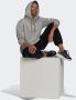 Adidas Originals Hoodie ADICOLOR ESSENTIALS FLEECE-HOODY - Thumbnail 6