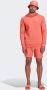 Adidas Originals Sweatshirt TREFOIL ESSENTIALS CREW NECK ADICOLOR ESSENTIALS TREFOIL - Thumbnail 6
