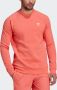 Adidas Originals Sweatshirt TREFOIL ESSENTIALS CREW NECK ADICOLOR ESSENTIALS TREFOIL - Thumbnail 8