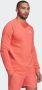 Adidas Originals Sweatshirt TREFOIL ESSENTIALS CREW NECK ADICOLOR ESSENTIALS TREFOIL - Thumbnail 9