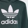 Adidas Originals Sweatshirt TREFOIL HOODIE - Thumbnail 3