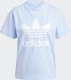 Adidas Originals Adicolor Classics Trefoil T-shirt - Thumbnail 6
