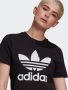 Adidas Originals Adicolor Classics Trefoil T-shirt - Thumbnail 10
