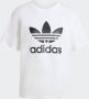 Adidas Originals Trefoil Regular T-shirt - Thumbnail 6