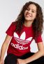 Adidas Originals T-shirt rood wit Katoen Ronde hals Logo 128 - Thumbnail 8