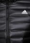 Adidas TERREX Outdoorjack VARILITE HOODED DAUNENJACKE - Thumbnail 9