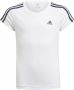 Adidas Sportswear Designed 2 Move 3-Stripes T-shirt - Thumbnail 1
