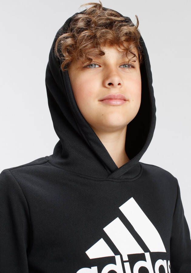 adidas Sportswear Hoodie BIG LOGO ESSENTIALS COTTON HOODIE