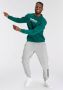 Adidas all szn fleece graphic joggingbroek grijs heren - Thumbnail 9