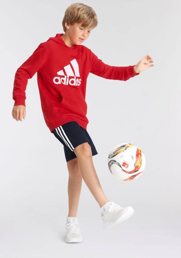 adidas Sportswear Hoodie ADIDAS ESSENTIALS HOODIE