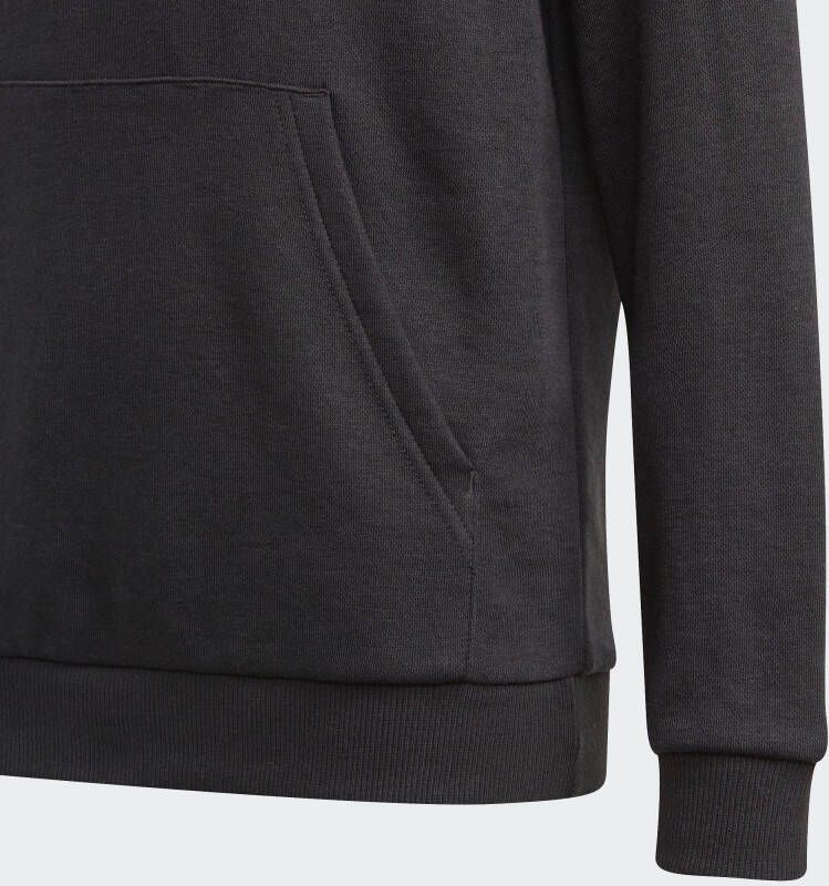 adidas Sportswear Hoodie ADIDAS ESSENTIALS HOODIE