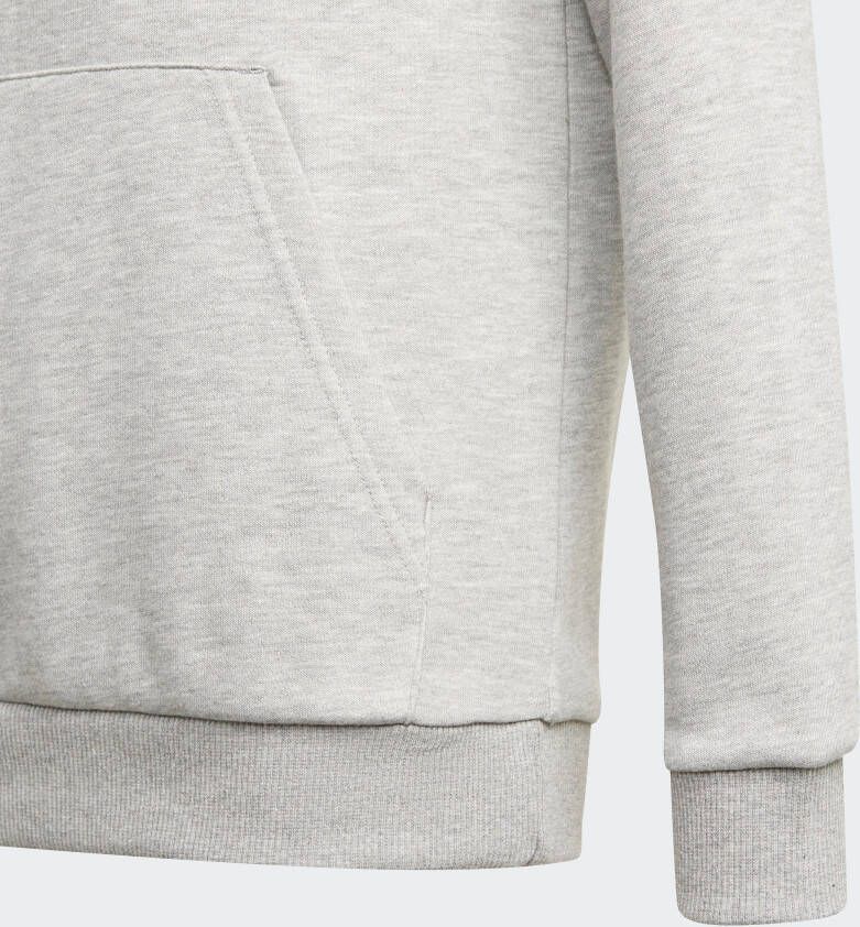 adidas Sportswear Hoodie ADIDAS ESSENTIALS HOODIE