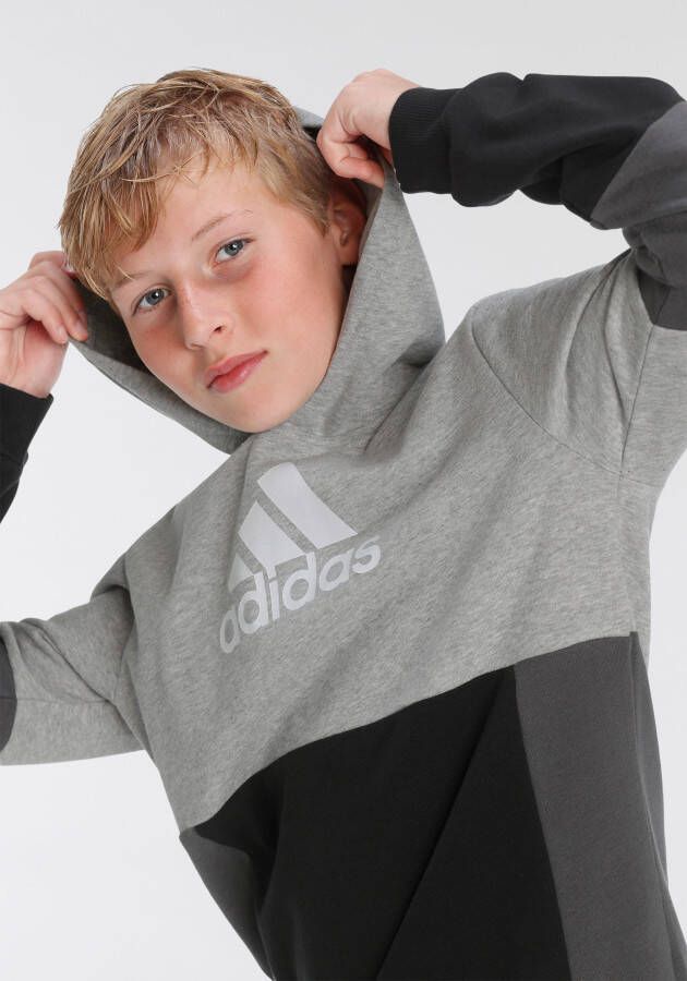 adidas Sportswear Sweatshirt COLOURBLOCK HOODIE