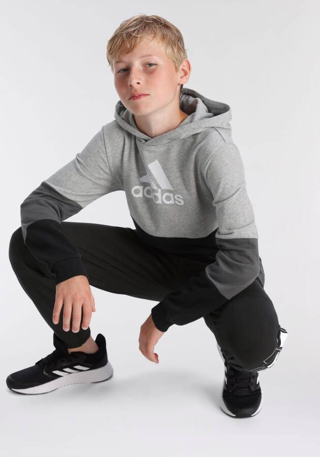 adidas Sportswear Sweatshirt COLOURBLOCK HOODIE