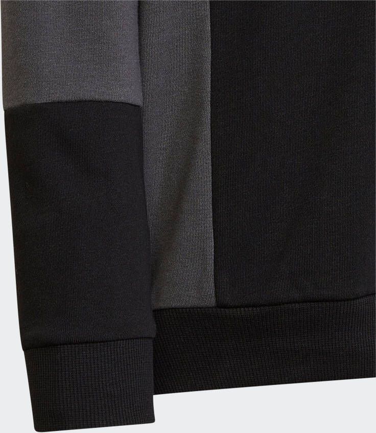adidas Sportswear Sweatshirt COLOURBLOCK HOODIE