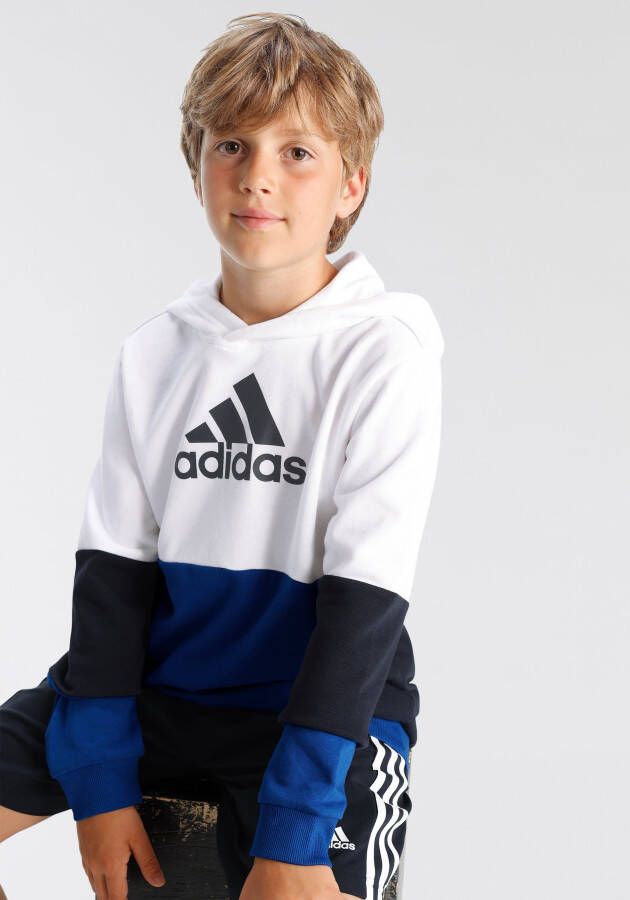 adidas Sportswear Sweatshirt COLOURBLOCK HOODIE