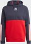 Adidas Sportswear Hoodie ESSENTIALS COLORBLOCK FLEECE HOODIE - Thumbnail 4