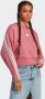 Adidas Sportswear Sweatshirt FUTURE ICONS 3-strepen - Thumbnail 9