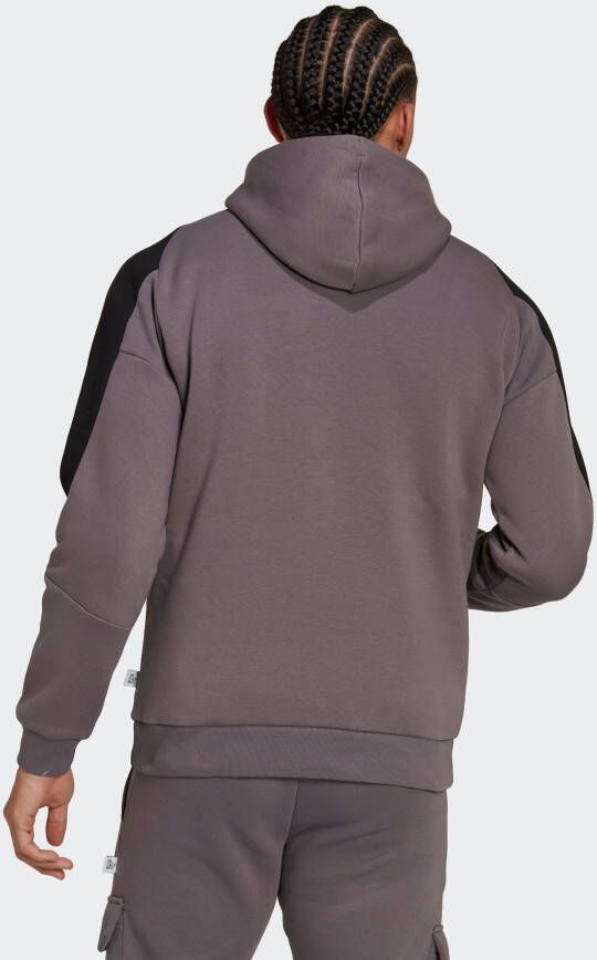 adidas Sportswear Sweatshirt FUTURE ICONS EMBROIDERED BADGE OF sport fleece-hoody