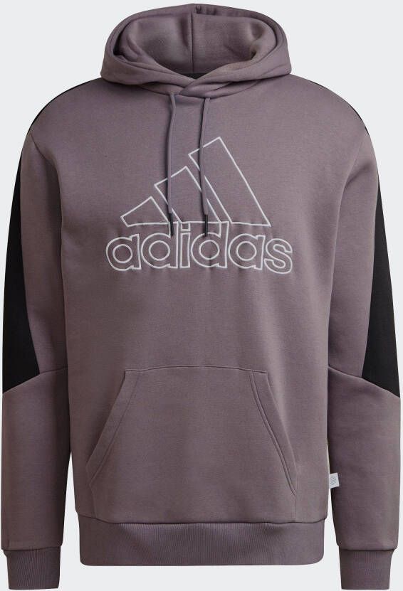 adidas Sportswear Sweatshirt FUTURE ICONS EMBROIDERED BADGE OF sport fleece-hoody