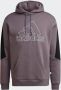 Adidas Sportswear Sweatshirt FUTURE ICONS EMBROIDERED BADGE OF sport fleece-hoody - Thumbnail 5