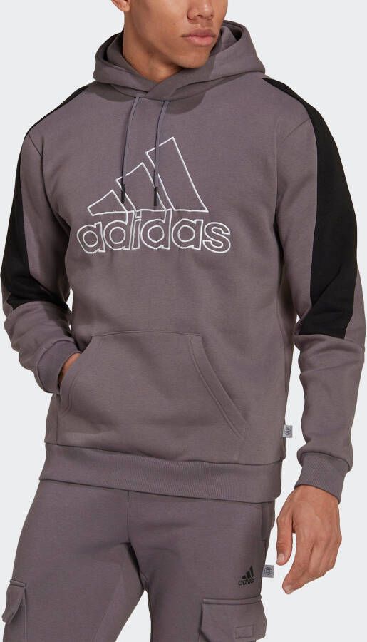 adidas Sportswear Sweatshirt FUTURE ICONS EMBROIDERED BADGE OF sport fleece-hoody