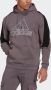 Adidas Sportswear Sweatshirt FUTURE ICONS EMBROIDERED BADGE OF sport fleece-hoody - Thumbnail 6