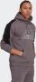 Adidas Sportswear Sweatshirt FUTURE ICONS EMBROIDERED BADGE OF sport fleece-hoody - Thumbnail 7