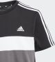 Adidas Sportswear T-shirt zwart grijs wit Katoen Ronde hals Meerkleurig 128 - Thumbnail 5