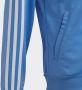 Adidas Sportswear Trainingspak ESSENTIALS 3-STRIPES (2-delig) - Thumbnail 6