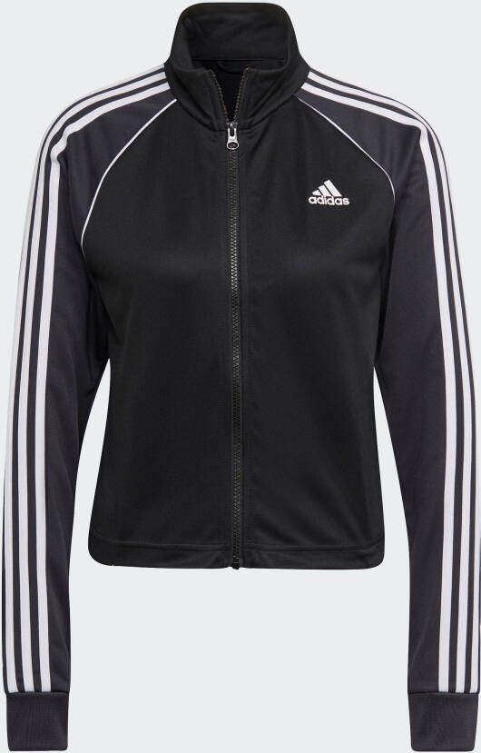 adidas Sportswear Trainingspak TEAMSPORT