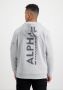 Alpha industries Hoodie met labeldetails model 'BACK PRINT HOODY' - Thumbnail 3