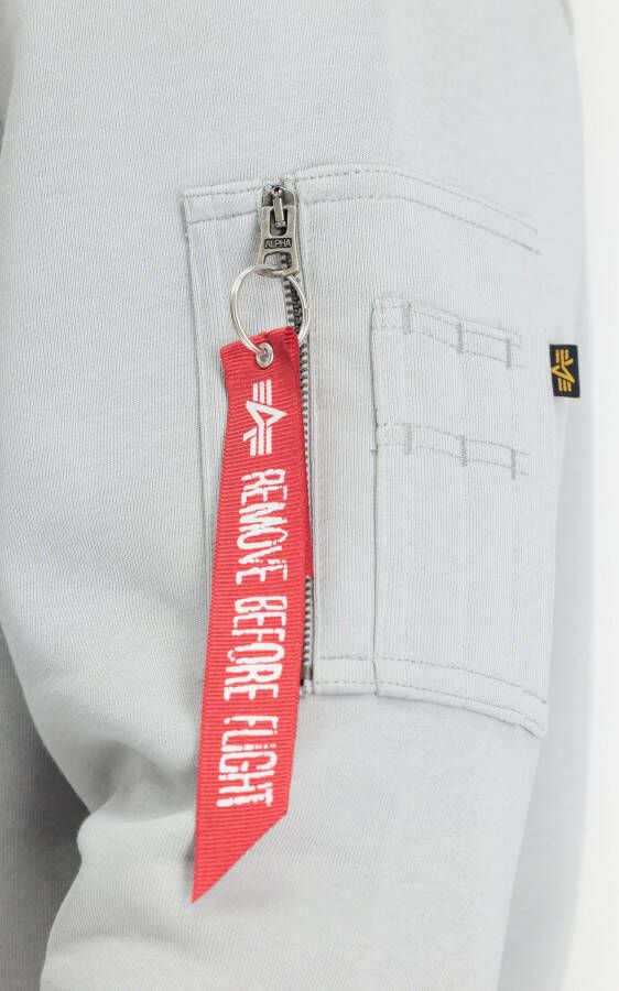 Alpha Industries Hoodie Men Hoodies Back Print Hoody