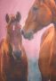 Arizona Shirt & legging met paardenmotief (set 2-delig) - Thumbnail 7