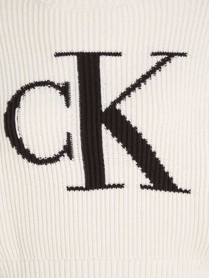 Calvin Klein Coltrui BLOWN UP CK LOOSE SWEATER
