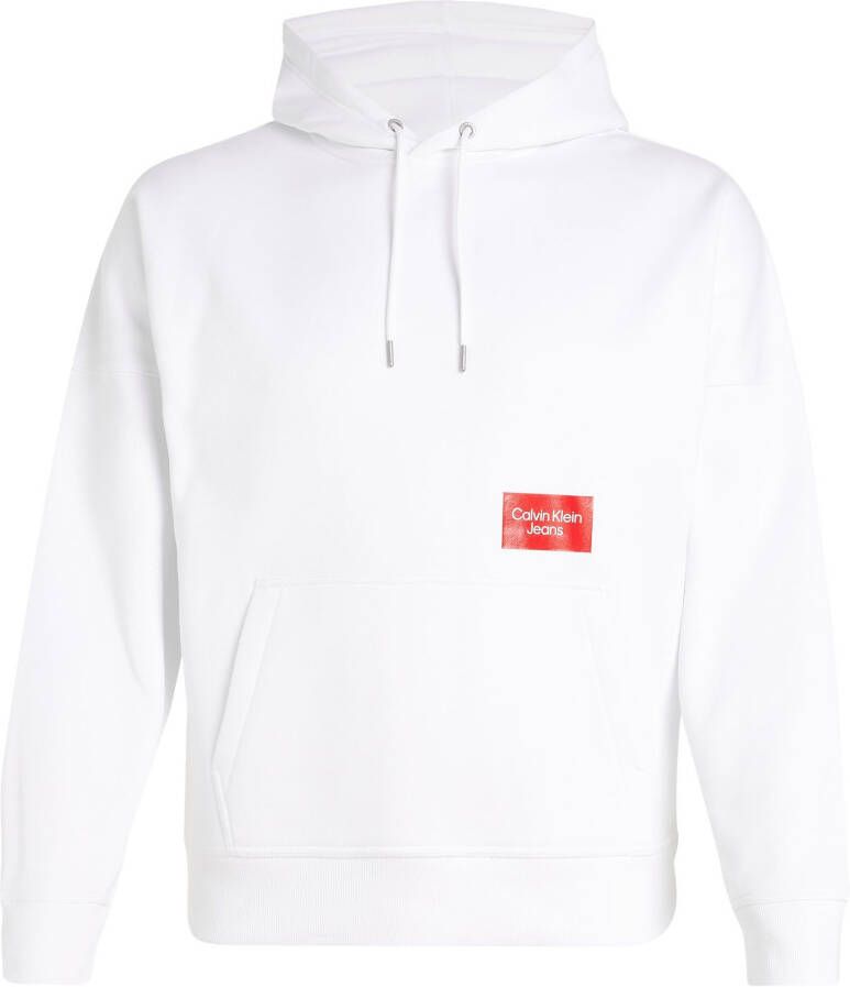 Calvin Klein Hoodie BOLD LOGO COLORBLOCK HOODIE