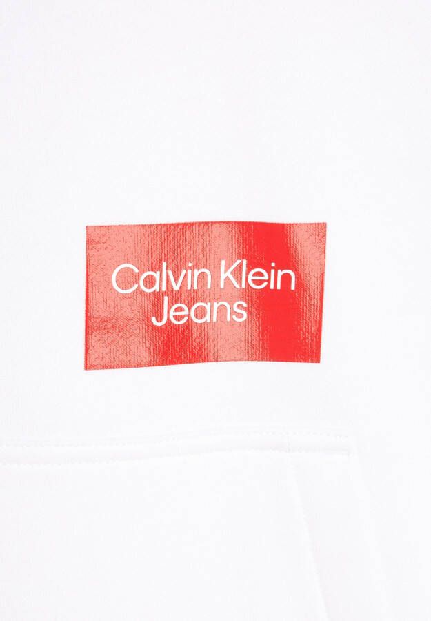 Calvin Klein Hoodie BOLD LOGO COLORBLOCK HOODIE