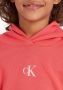 Calvin Klein Hoodie CK LOGO BOXY HOODIE voor kinderen tot 16 jaar - Thumbnail 4