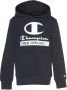 Champion Sweater 306169BS501 - Thumbnail 4