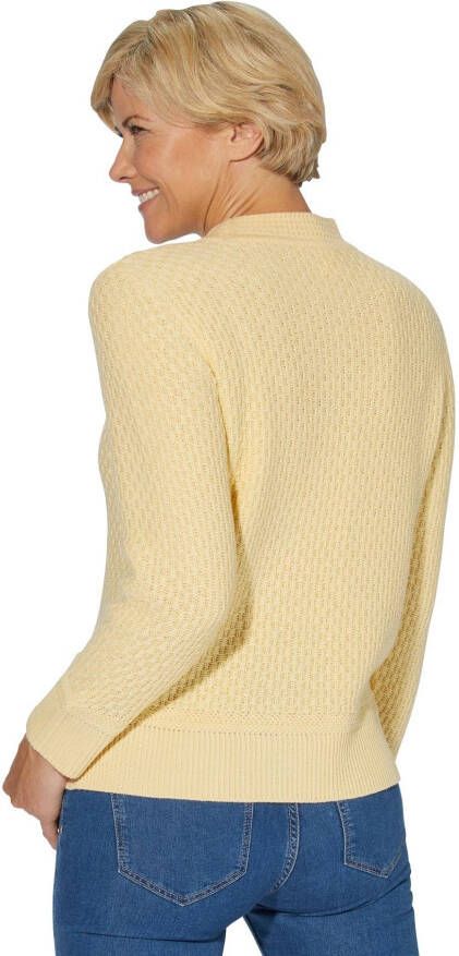 Classic Basics Trui met staande kraag Trui