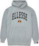 Ellesse Capuchon Grijs Heren - Thumbnail 8