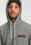 Ellesse Hoodie met labelstitching model 'PRIMERO' - Thumbnail 4
